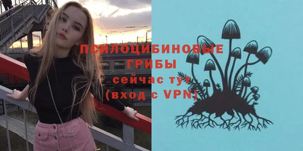 дживик Богородицк