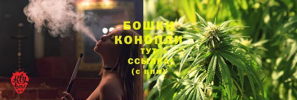 дживик Богородицк