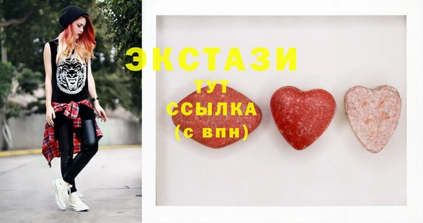 дживик Богородицк