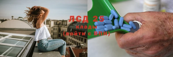 дживик Богородицк