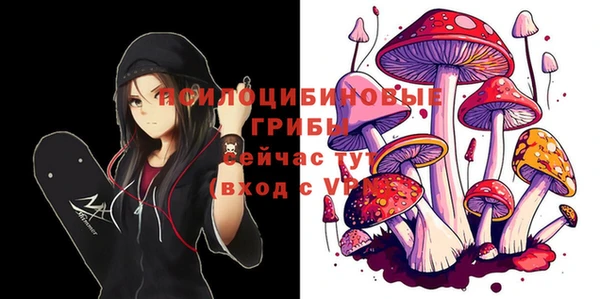дживик Богородицк