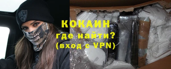 дживик Богородицк